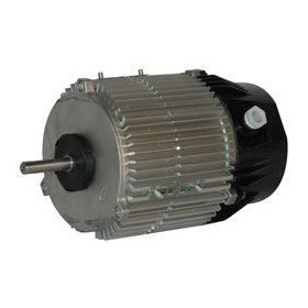 Moteur électrique MX050P06 - 26081056
