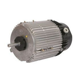 Moteur électrique MXC070 P04 - 26081070
