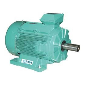 Moteur électrique LS 180 18.5/4 SPECIAL - 25090701