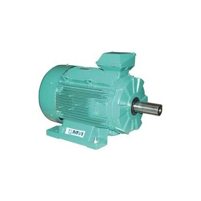 Moteur électrique LS 180 18.5/4 SPECIAL - 25090701