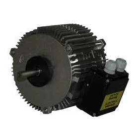 Moteur électrique TX030P08 - 26080010