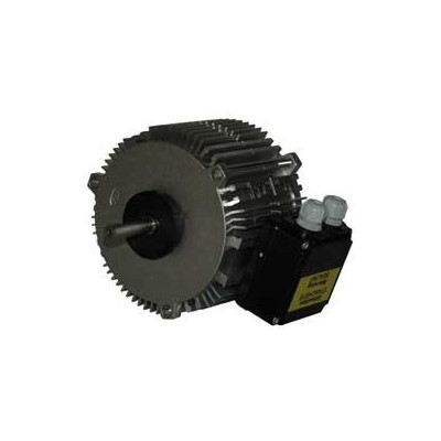 Moteur électrique TX030P08 - 26080010