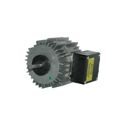 Moteur électrique TF040W02 - 26070072