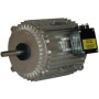 Moteur électrique TX0100L08 - 26090047