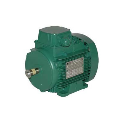 Moteur électrique LS 71 0.55/2 - 25090225