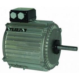 Moteur électrique TX080L12 - 26090041