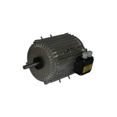 Moteur électrique TX120L08 - 26090056